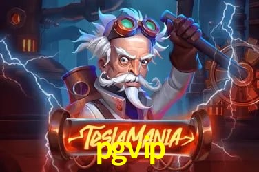 Experiência VIP pgvip