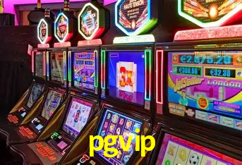 Descubra o Mundo do Cassino Online com pgvip